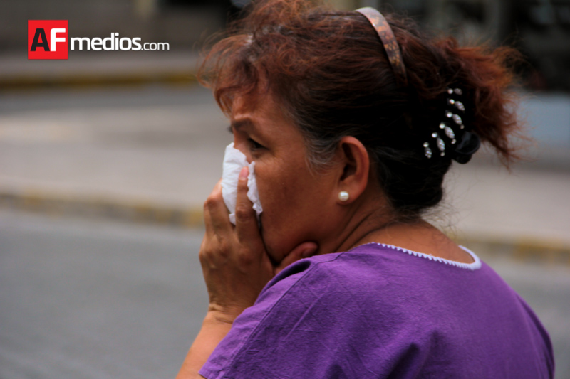 af_cenizaencolimacentro11julio2015sin título-22