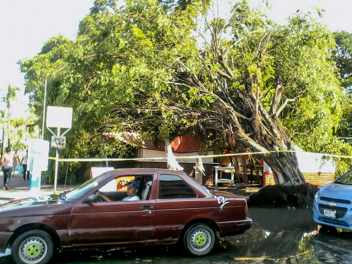 lluvia_puertovallarta_afectacion_03