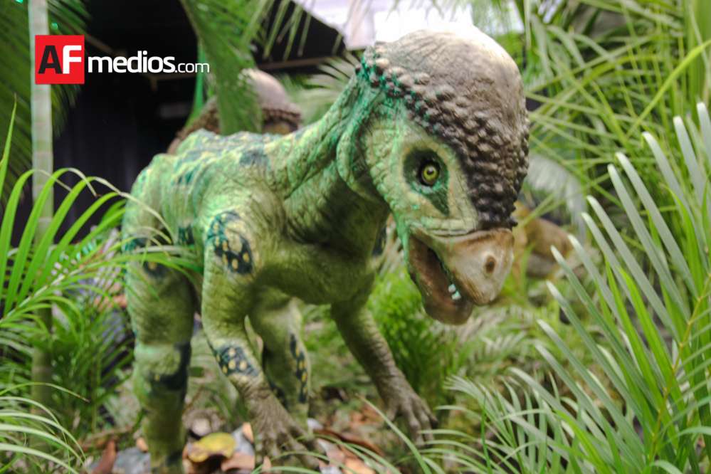 dinosauria_animatronix_17