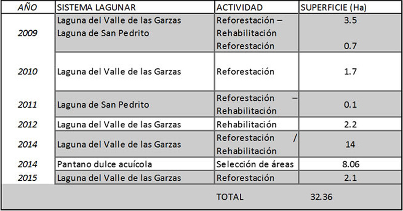 reforestacion_api_01