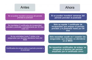 cambios_maternidad_imss