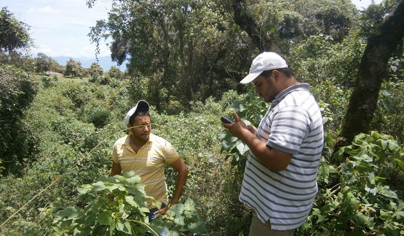 Conafor Estima 500 Mdp Para Impulsar Desarrollo Forestal En Chiapas | conafor estima 500 mdp para impulsar desarrollo forestal Conafor Estima 500 Mdp Para Impulsar Desarrollo Forestal En Chiapas | conafor estima 500 mdp para impulsar desarrollo forestal