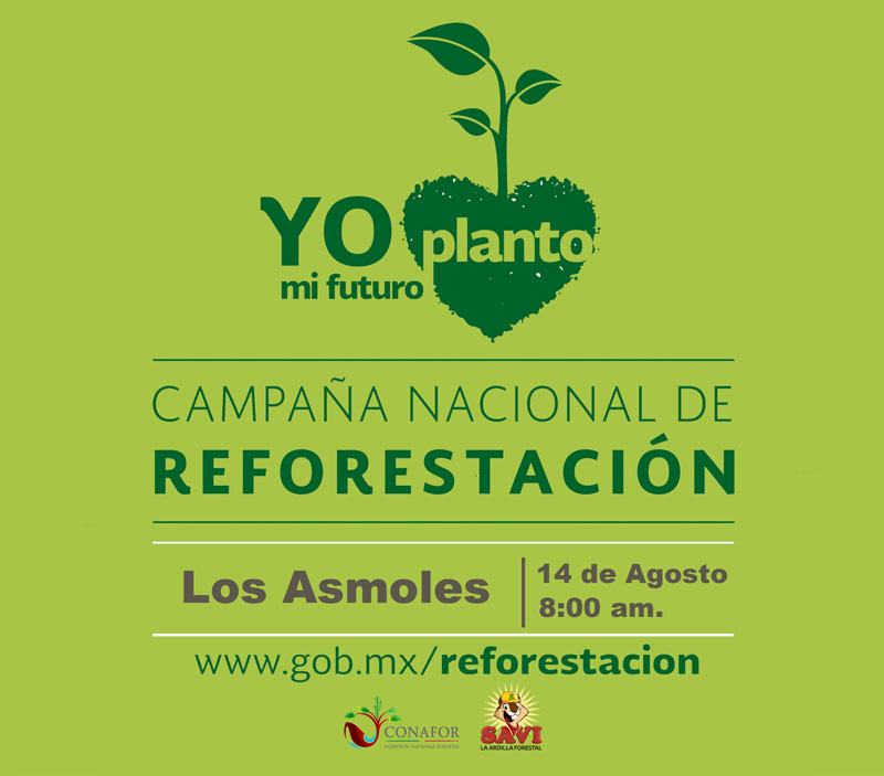 reforestacion_conafor_01