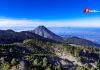 Invitan a celebrar el Día del Árbol 2026 con jornada de reforestación en el Parque Nacional Volcán Nevado de Colima