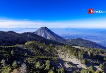 Invitan a celebrar el Día del Árbol 2026 con jornada de reforestación en el Parque Nacional Volcán Nevado de Colima