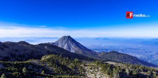 Invitan a celebrar el Día del Árbol 2026 con jornada de reforestación en el Parque Nacional Volcán Nevado de Colima