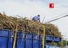 México recupera acceso al mercado azucarero de Estados Unidos; exportaciones crecerán más de 500%
