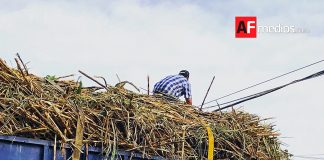 México recupera acceso al mercado azucarero de Estados Unidos; exportaciones crecerán más de 500%