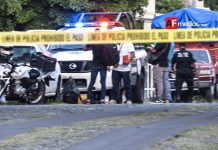 De 2017 a 2018 hubo 9 feminicidios en Colima: Diagnóstico de Violencia Contra Mujeres