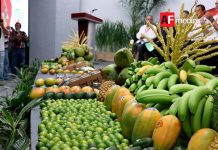 Incrementó 5.6 % el valor total de las exportaciones de las entidades federativas, en el cuarto trimestre de 2024, a tasa anual