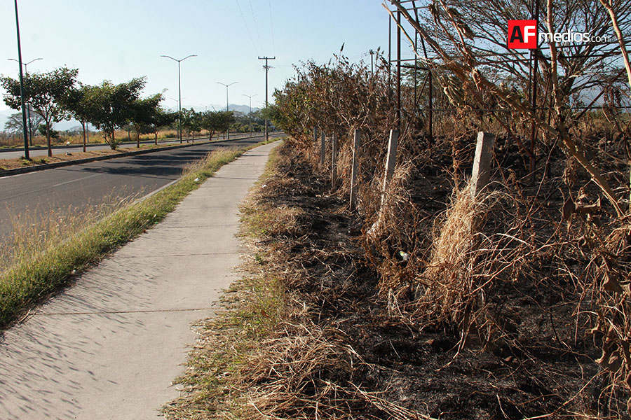 Quema de basura y maleza está prohibida en 'La Villa'; hay multas de ...