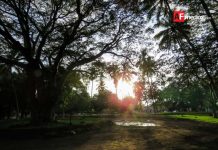 Ciudadanos piden se rescate espacio en donde estaba lago de Parque Hidalgo