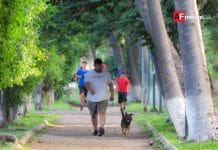 OMS recomienda de 150 a 300 minutos diarios de ejercicio