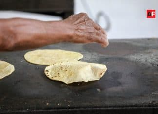 Gobierno del Estado de Colima apoyará a industriales de la masa y la tortilla