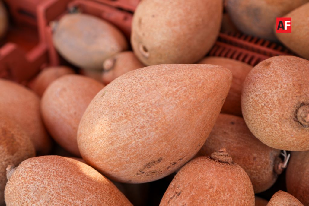 Mamey, su nombre en náhuatl es tetzontzapotl que significa zapote color