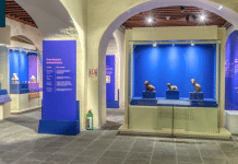 Pinacoteca celebra su 25 aniversario con exposiciones y conferencias