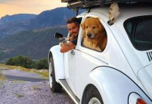 Influencer brasileño que viajaba por el mundo con su perro en un vocho muere en accidente vial