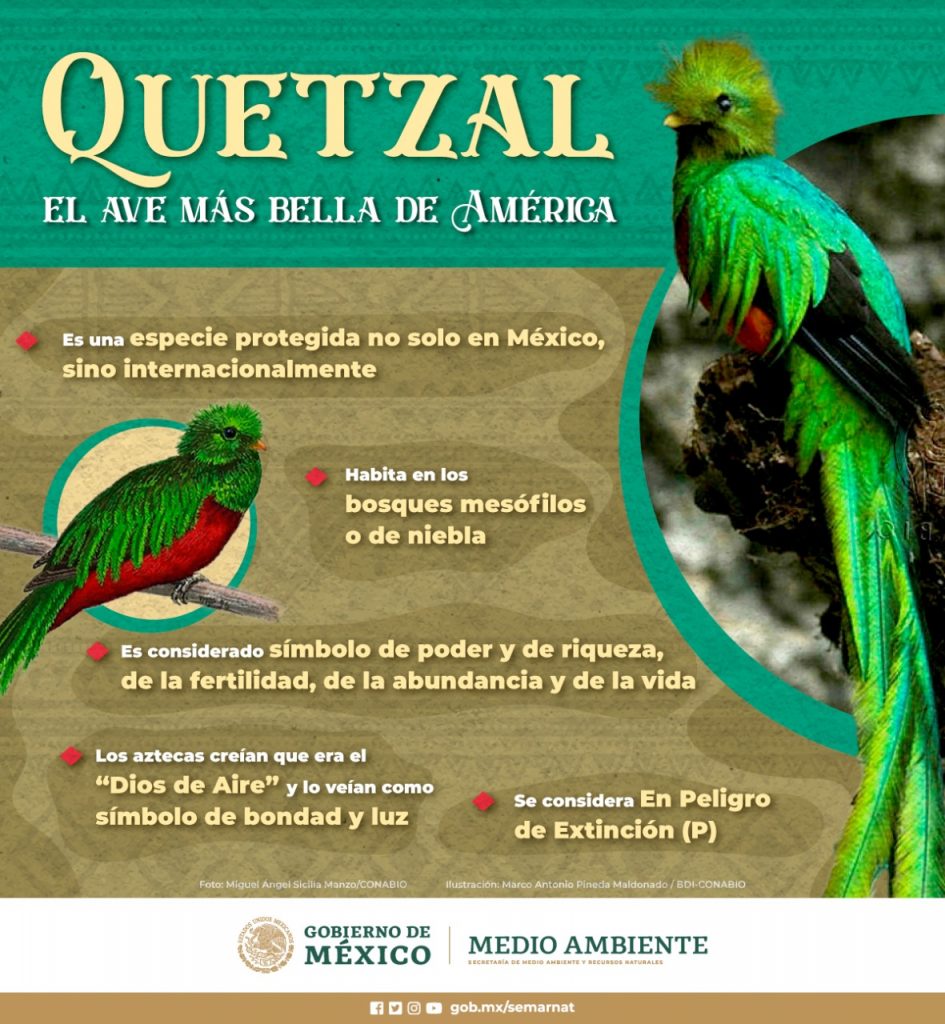 Quetzal AFmedios . Agencia de Noticias