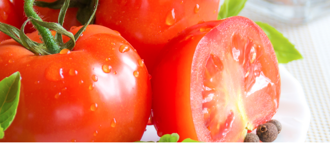 jitomate_01