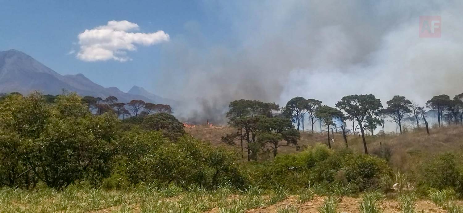 PC Cuauhtémoc combate incendio en área forestal en las faldas del Volcán |  AFmedia.