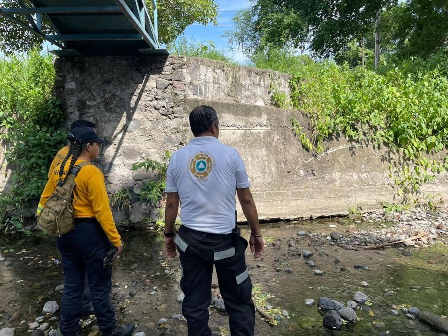 PC Municipal Colima realiza operativo para capturar cocodrilo en el río Pereyra |  AFmedia.