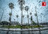 Protección Civil exhorta a prevenir riesgos ante pronóstico de lluvias en gran parte del país