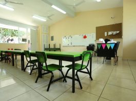 SNTE 39 reporta escuelas listas y plantilla docente completa para el ciclo escolar 2026-2027