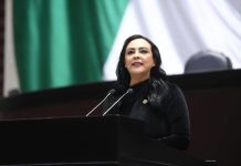 Extinción de organismos autónomos es un retroceso a la democracia: Julia Jiménez