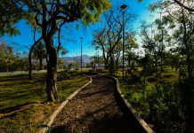 Parque Puerta de la Barranca y Parque Alcalde destacan como los espacios naturales mejor evaluados por la ciudadanía: AMBU
