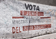 375 personas visitantes extranjeras observarán el PEEPJF 2024-2025