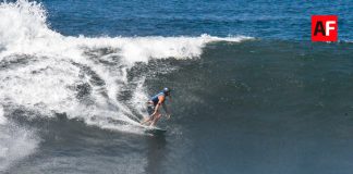 Colima cierra el año con una intensa agenda turística y eventos internacionales: Jorge Padilla