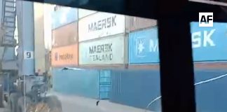 Daños materiales tras caída accidental de contenedores en el puerto de Manzanillo