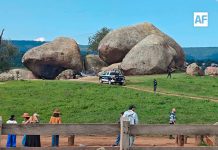 15 heridos por picaduras de abejas en zona turística de Tapalpa