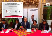 Cédulas profesionales emitidas por el Gobierno de Jalisco son ilegales: José Luis Tello Ramírez