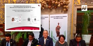 Cédulas profesionales emitidas por el Gobierno de Jalisco son ilegales: José Luis Tello Ramírez