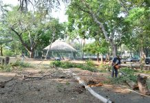 El alcalde Riult Rivera, destaca los avances que registra el programa Colima Verde y Vivo