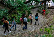 Suman esfuerzos para evitar construcción de departamentos en el Bosque de Los Colomos