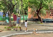 Presidente Riult Rivera realiza trabajos de renovación en el Paseo Turístico Rio Colima para disfrute seguro y digno de las familias