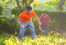 Liberan Macro Brigadas de Limpieza 14 mil kg de maleza en fin de semana