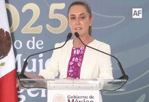 Claudia Sheinbaum: Más de mil 900 mdp para 8 puentes en Colima; Puente Tepalcates no tocará cuerpo de agua de la Laguna de Cuyutlán