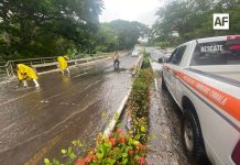 Lluvias de este miércoles provocan caídas de árboles, postes y daños en Colima y la zona conurbada: UEPC Colima