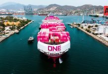Manzanillo rompe récord en el primer semestre de 2026 y se perfila hacia los 4 millones de TEU’s