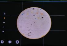 Estudiarán presencia de microplásticos en agua y leche