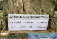 Marina y autoridades detienen a dos presuntos infractores y aseguran armas, vehículos y droga en Sinaloa