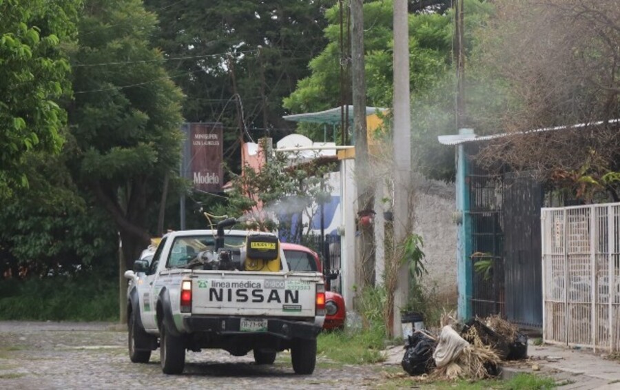 Intensifica Salud Colima fumigación en municipios de riesgo a dengue