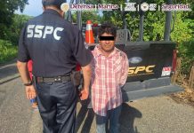 Detienen en Tabasco al presunto responsable de multihomicidio y rescatan a siete menores