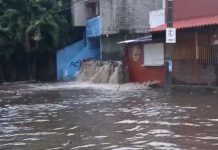 UEPC Colima atiende incidentes tras lluvias de este jueves; no hubo personas lesionadas