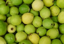 Refuerza tus defensas este invierno con los sabores del campo mexicano