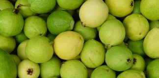 Refuerza tus defensas este invierno con los sabores del campo mexicano