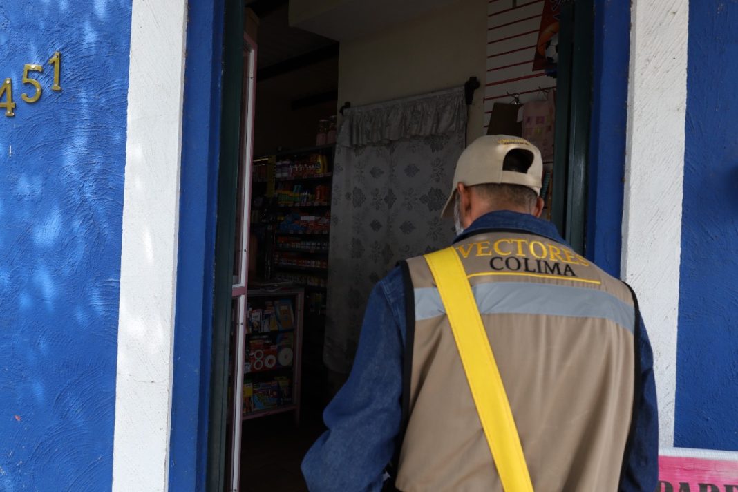 control de vectores salud